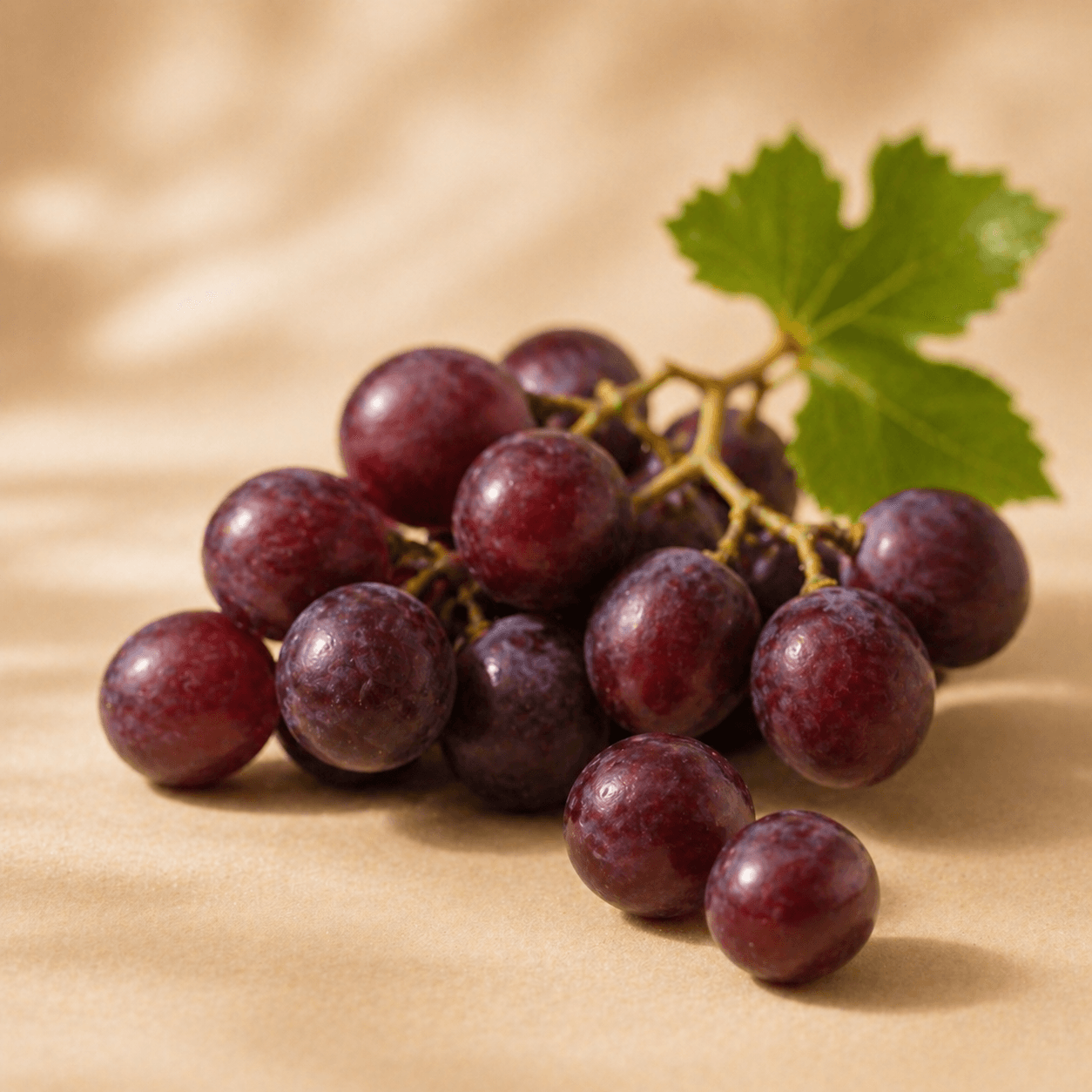 Rezveratrol